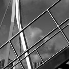 Rotterdam: lines and artichecture